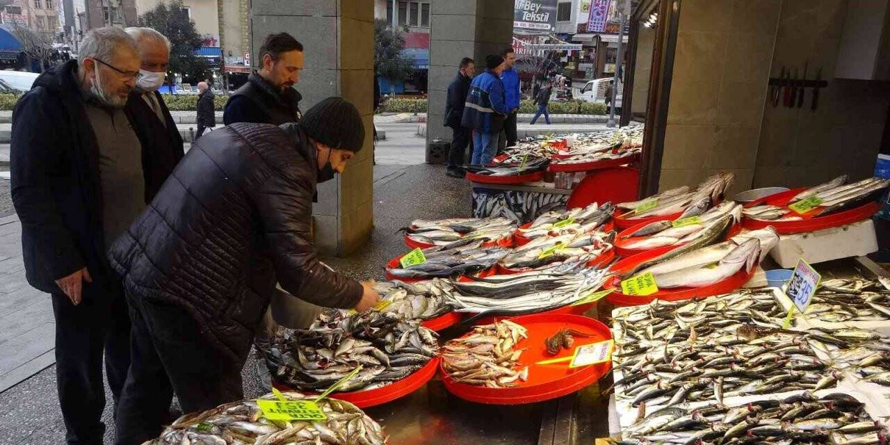 Hamsiden sonra istavrit de artık tezgahlardan çekiliyor