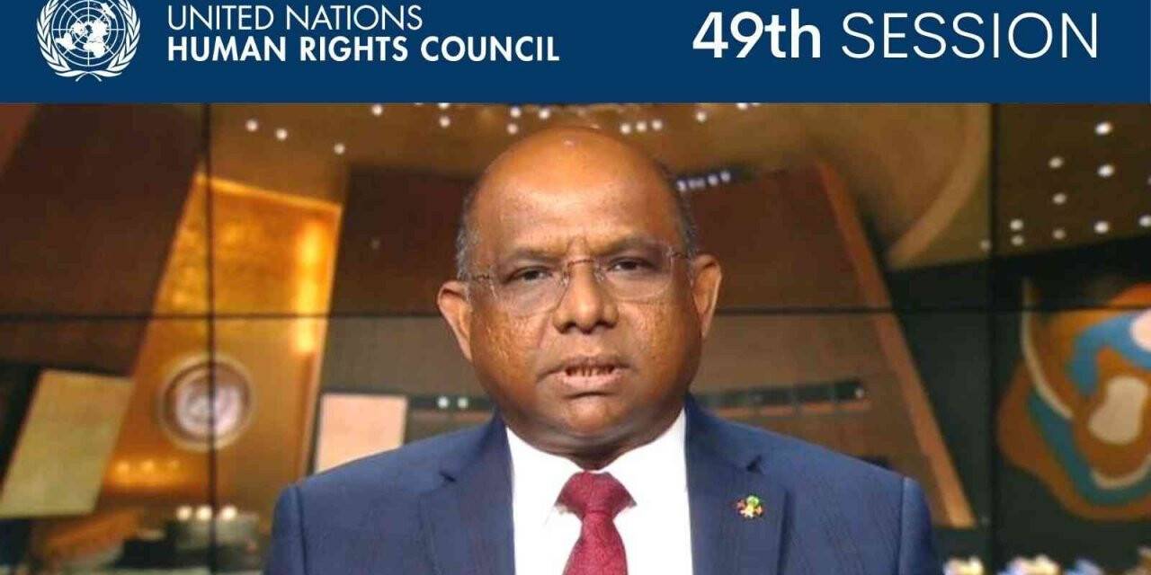 BM İnsan Hakları Konseyi’nin 49’uncu oturumu başladı