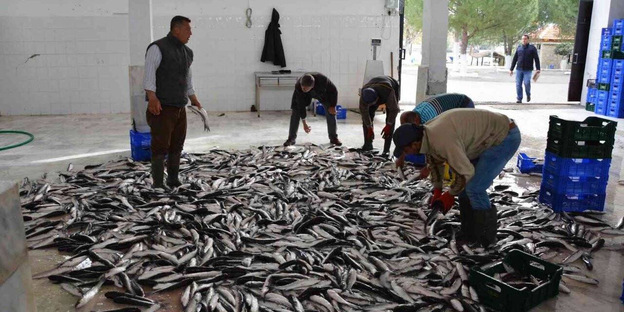 Muğla’nın Ocak ayı ihracat lideri tarım
