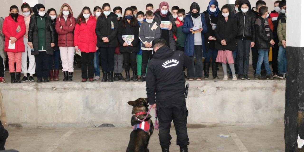 Öğrenciler, jandarma ile birlikte müzeyi gezdi