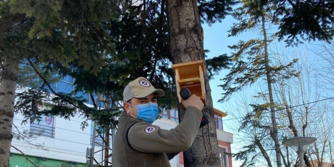 Kastamonu’da çeşitli noktalara kuş yuvaları asılarak yem bırakıldı