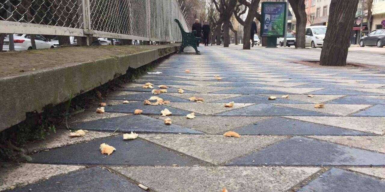 Duyarsızca atılan ekmek kırıntıları kaldırımlarda kötü görüntülere sebep oluyor