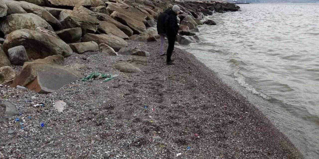 Bandırma’da iki aydır çekilen deniz eski haline gelmedi