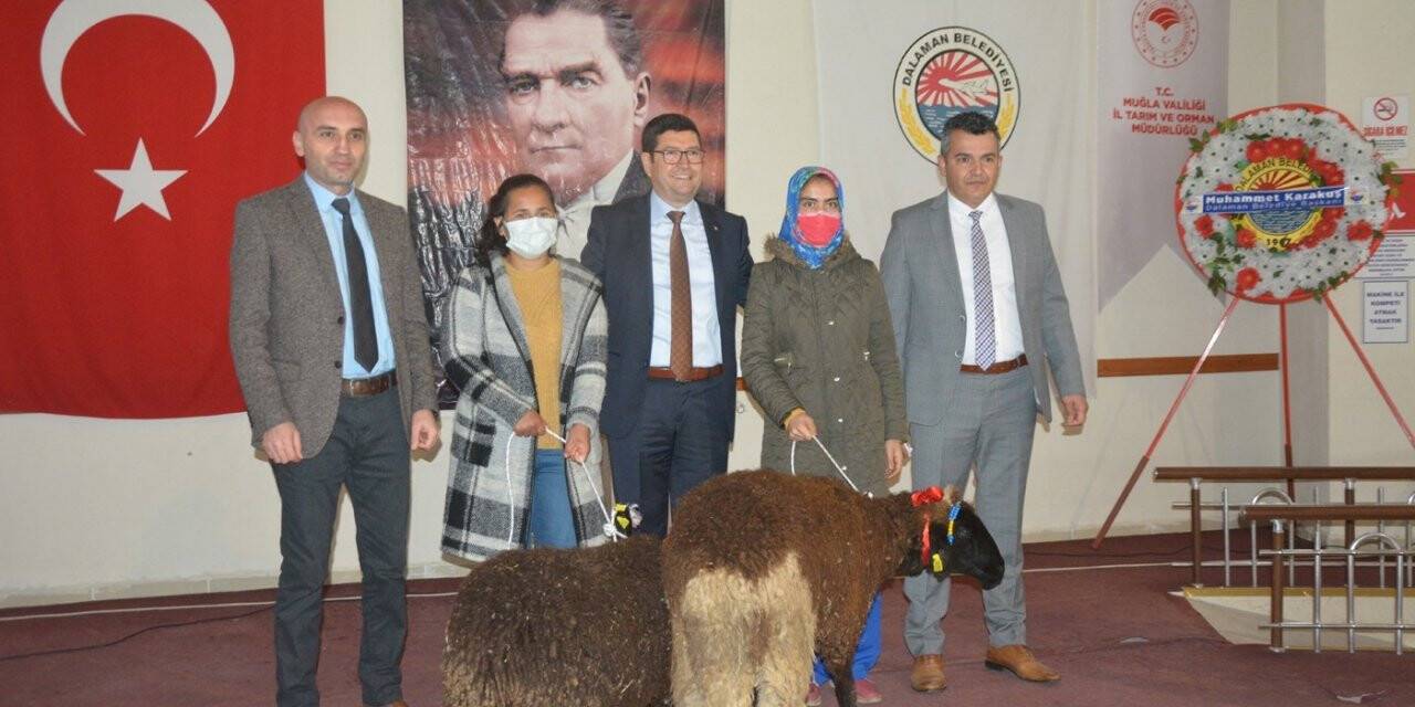 Muğlalı kadın üreticilere küçükbaş hayvan desteği