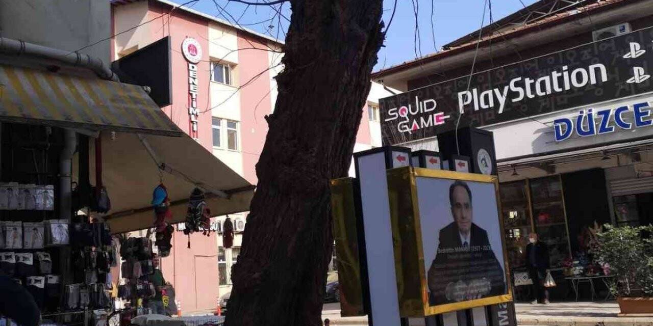 Tehlikeli ağaçlar kaldırılacak