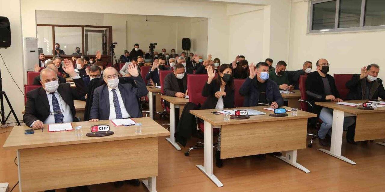 Efeler’in enginar yavru vatana uzanacak