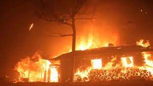 Güney Kore'de orman yangını 90 evi küle çevirdi