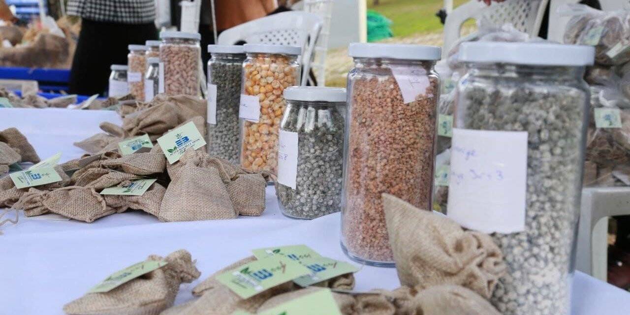 Edremit’in atalık tohumları İzmir’de ilgi gördü