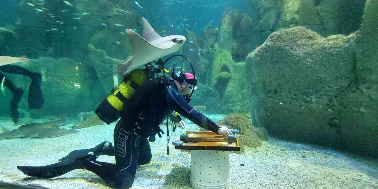 Guinness Rekortmeni yeni rekor için hazırlıklarına başladı