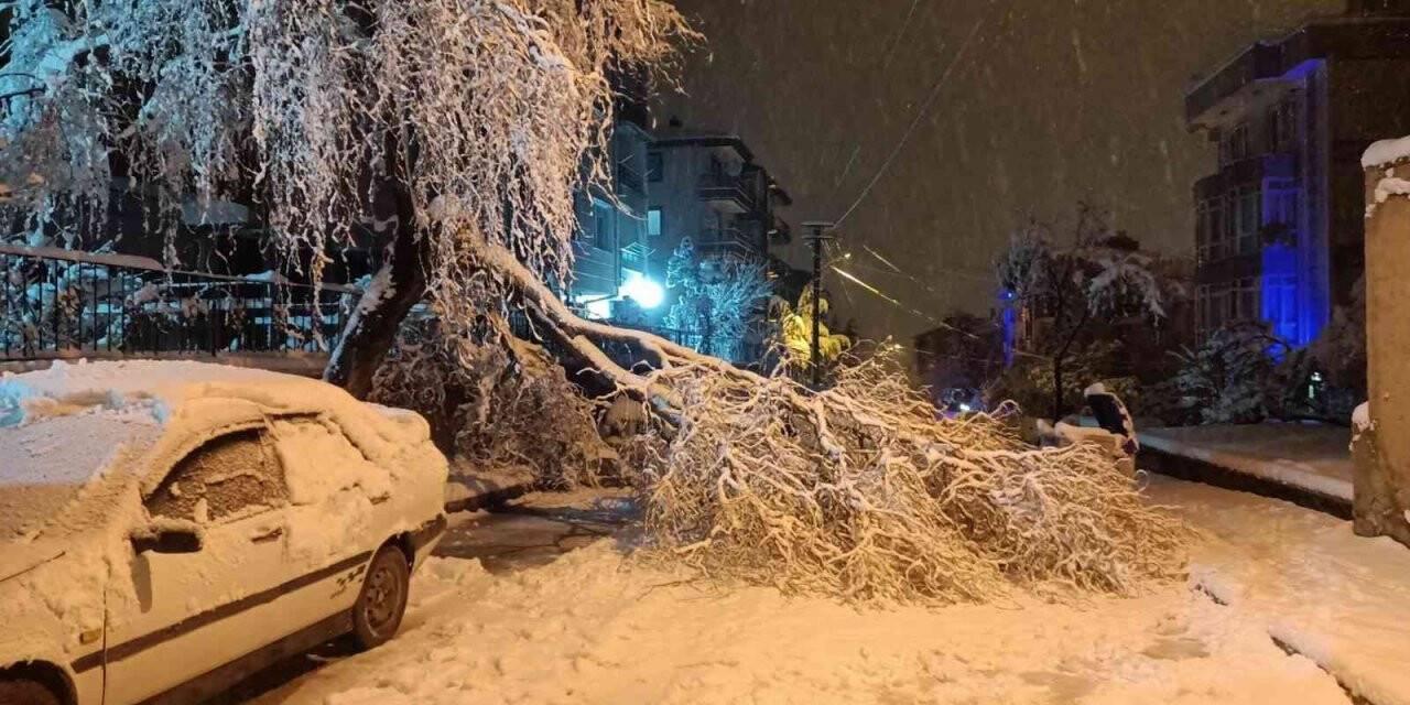Yoğun kar yağışına dayanamayan ağaç dalları kırılarak anayolu kapattı