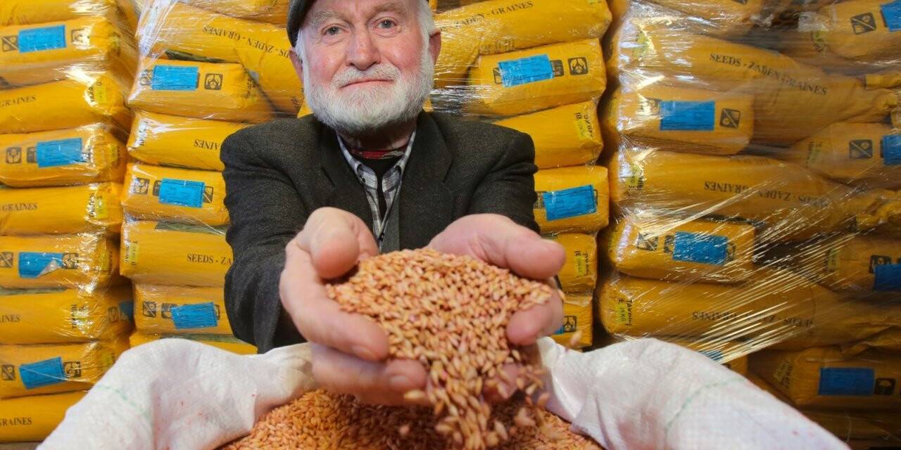 2 bin çiftçiye yem bitkisi tohumu ve gübre desteği