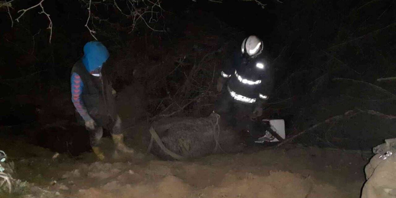 Çamura saplanan ineği itfaiye ekipleri kurtardı