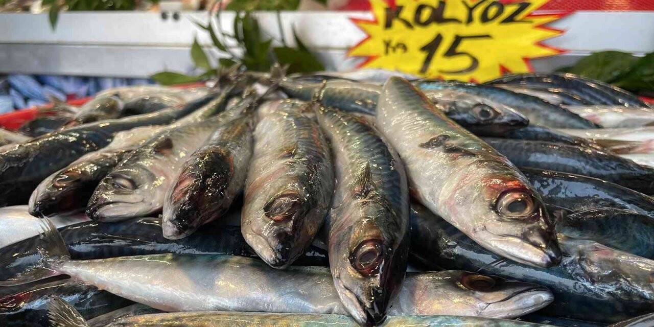 Kilosu 15 lira, kapış kapış satılıyor