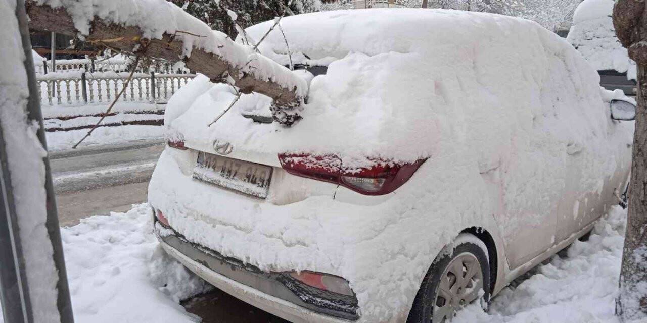Araçlar devrilen ağaçların altında kaldı