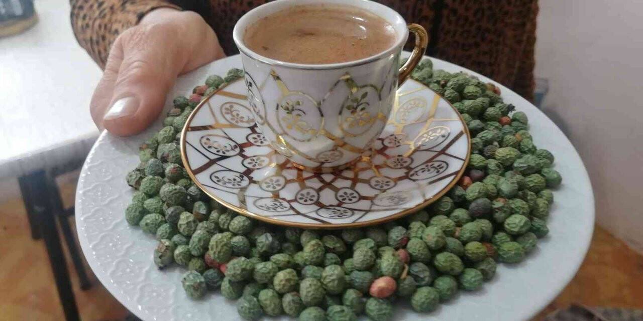 Elazığ’da ‘Çedene kahvesinin’ tescillenmesi üreticiyi sevindirdi