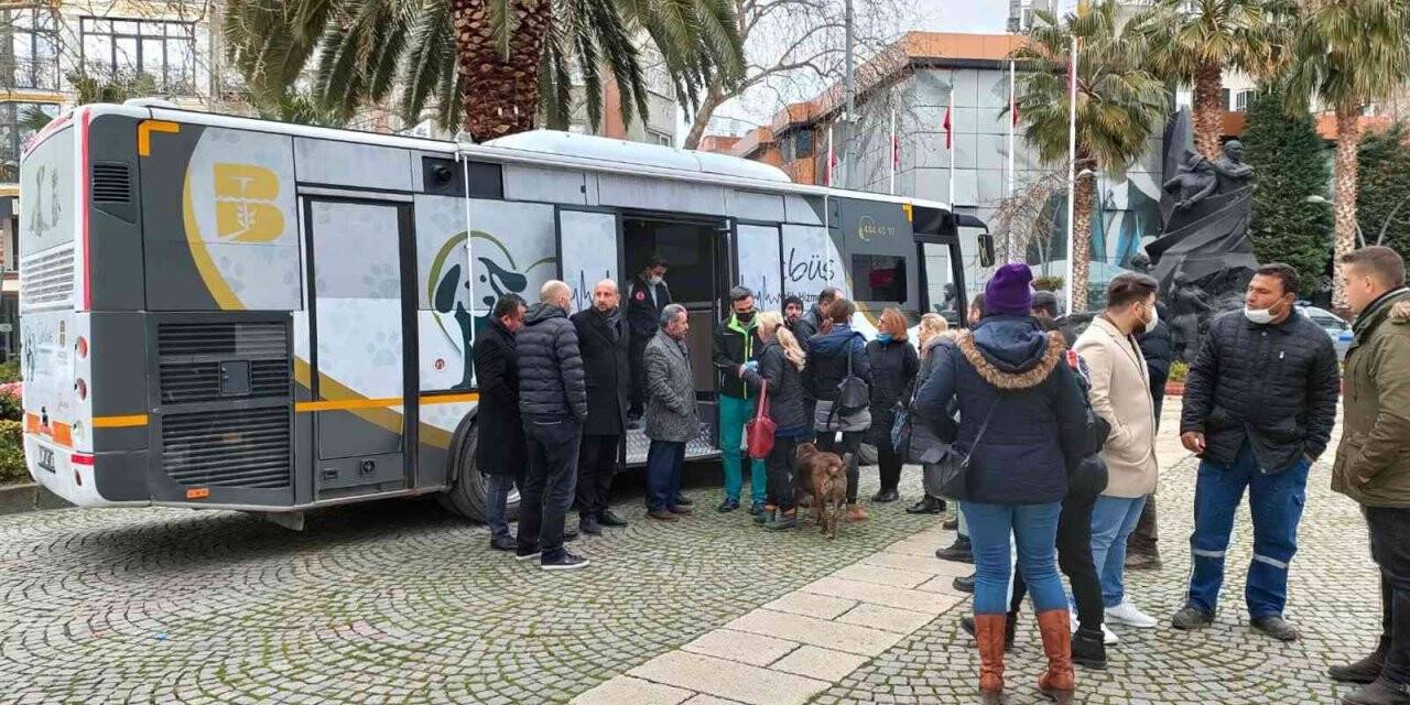 Vetbüs ile Şifa, can dostların ayağına gidiyor