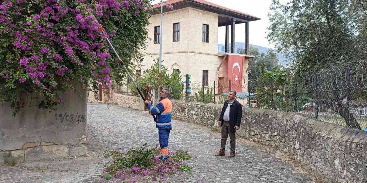 Sürücülere engel ağaçlar budanıyor