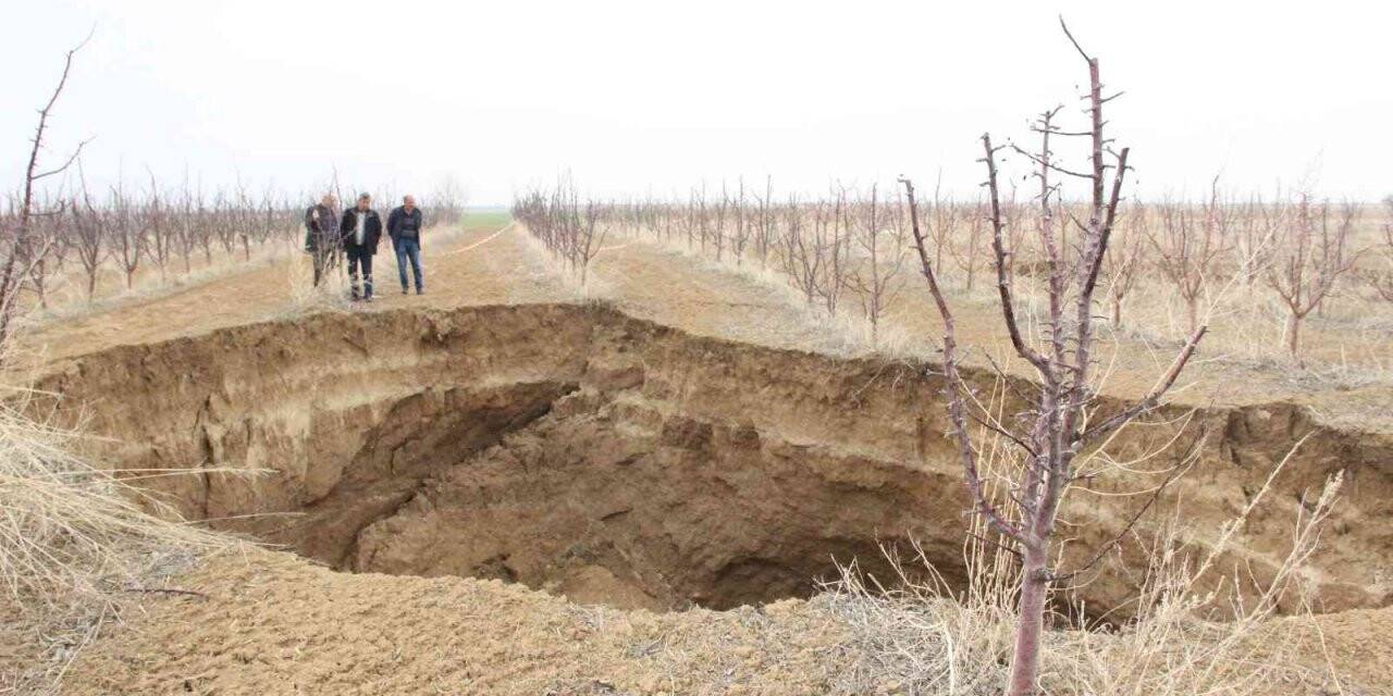 Karaman’da oluşan dev obruk, elma ağaçlarını yuttu