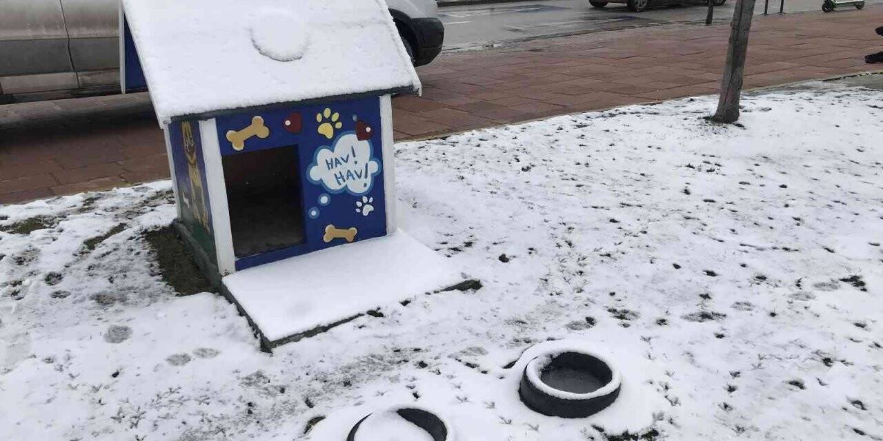 Kar yağışı onları da çok etkiledi