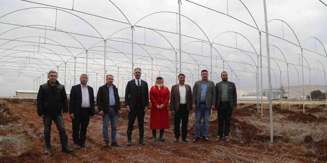 Eyyübiye’de istihdam projeleri başladı