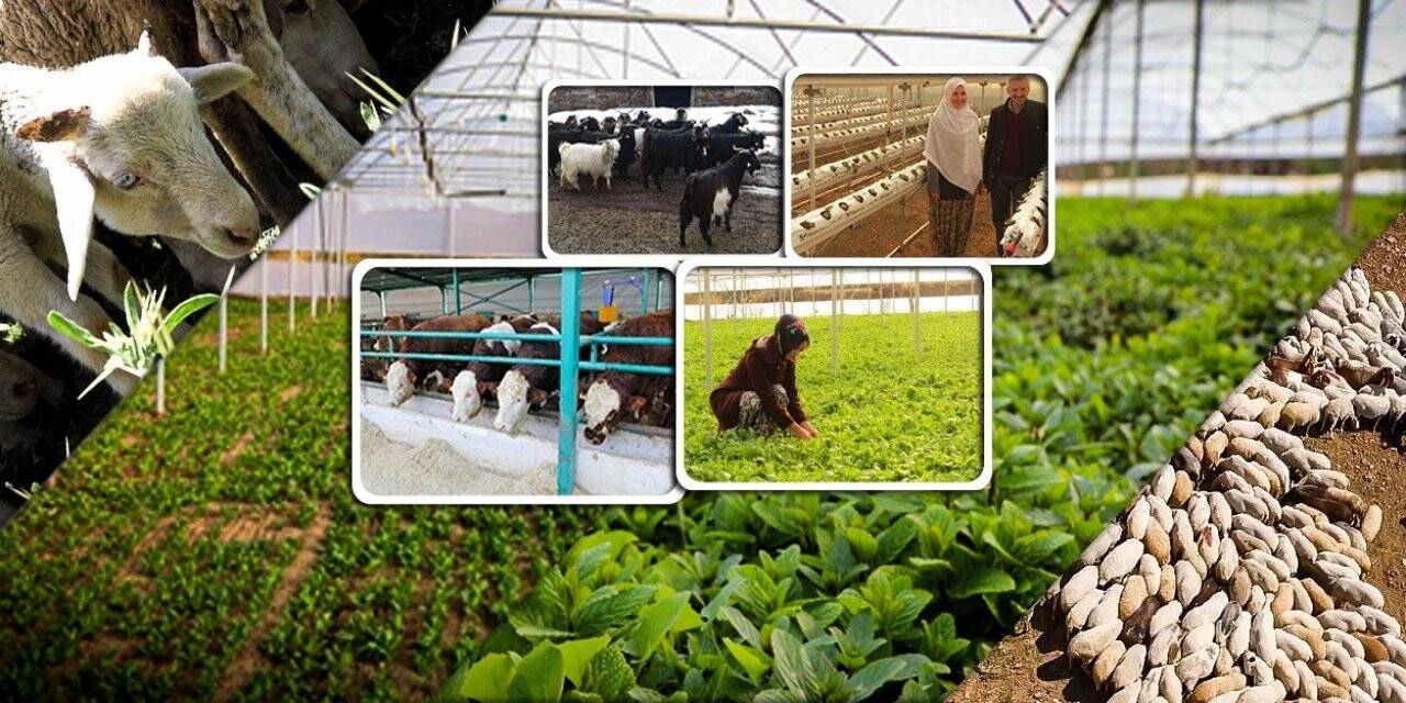 100 bin TL hibe için son başvuru tarihi 15 Marta uzatıldı