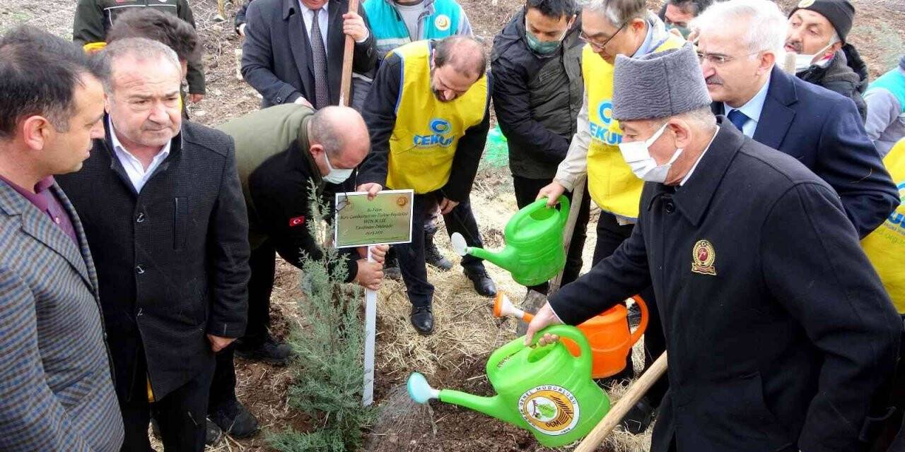 Osmaniye’de Güney Kore-Türkiye Dostluk Ormanı kuruldu