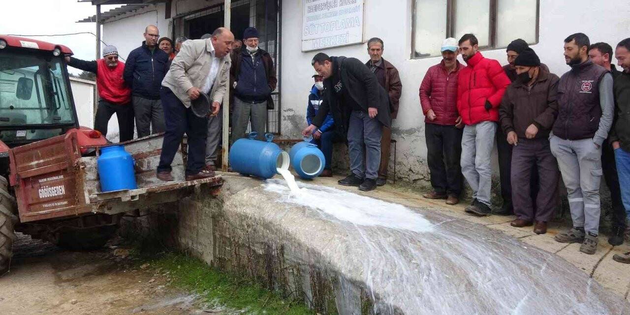 Çanakkale’de mandıracılara kızıp 200 kilogram sütü döktüler