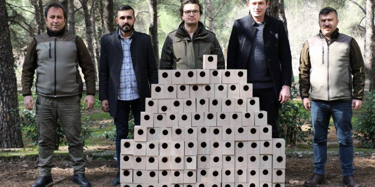 Süreyya Tabiat Parkına kuş yuvaları yerleştirildi