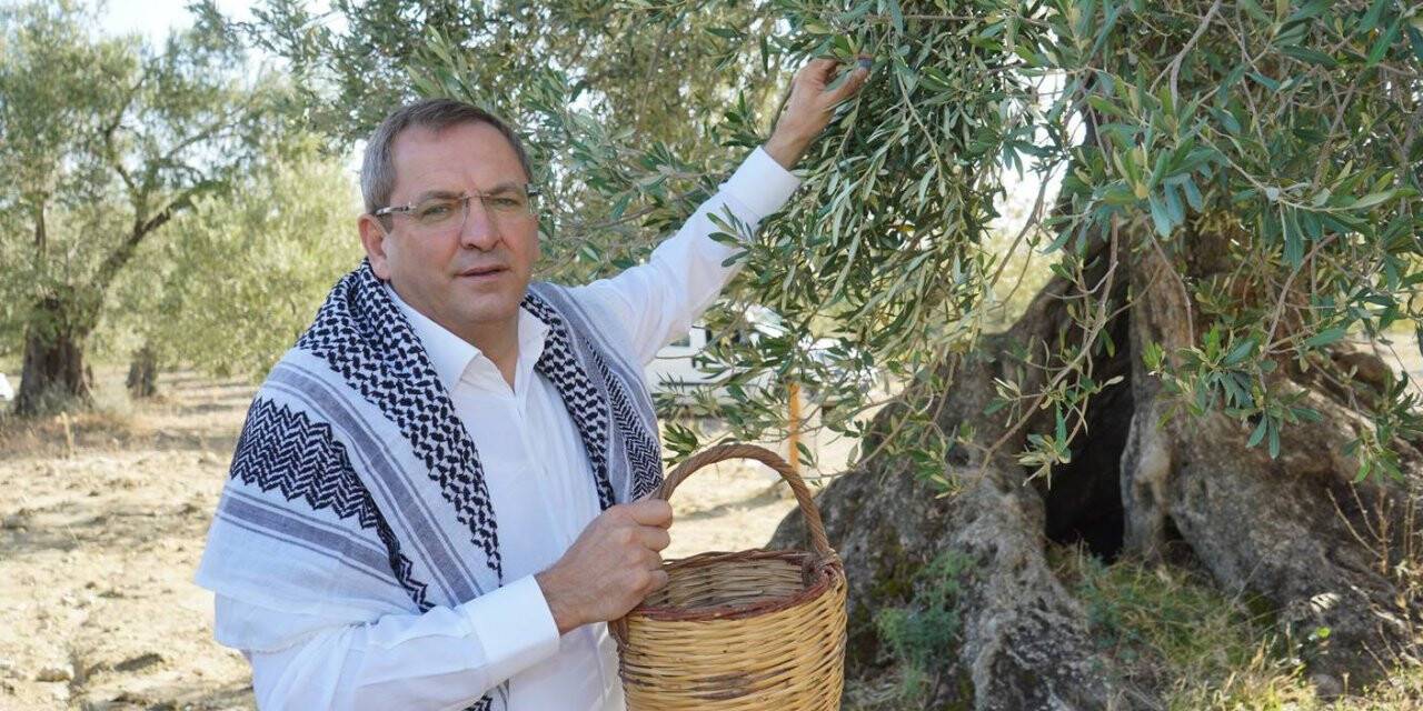 Ayvalık Belediye Başkanı Ergin’den zeytin ağacı tepkisi
