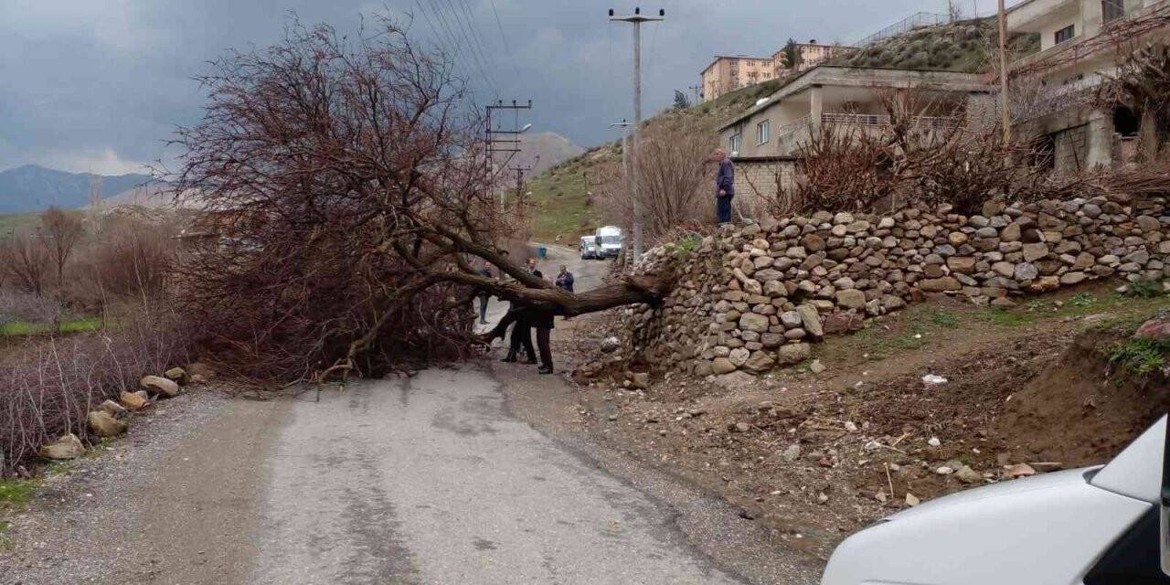 Batman’da şiddetli rüzgarda direkler kırıldı, ağaçlar devrildi