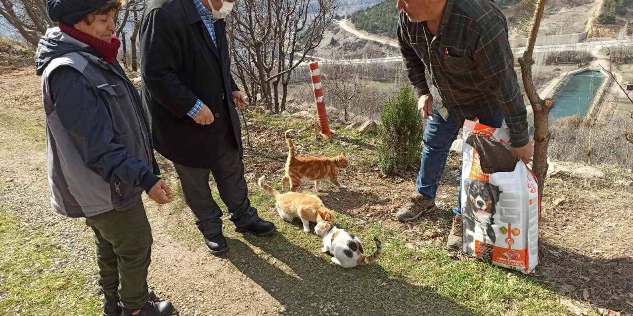 Sokak hayvanları unutulmadı,1 ton mama doğaya bırakıldı