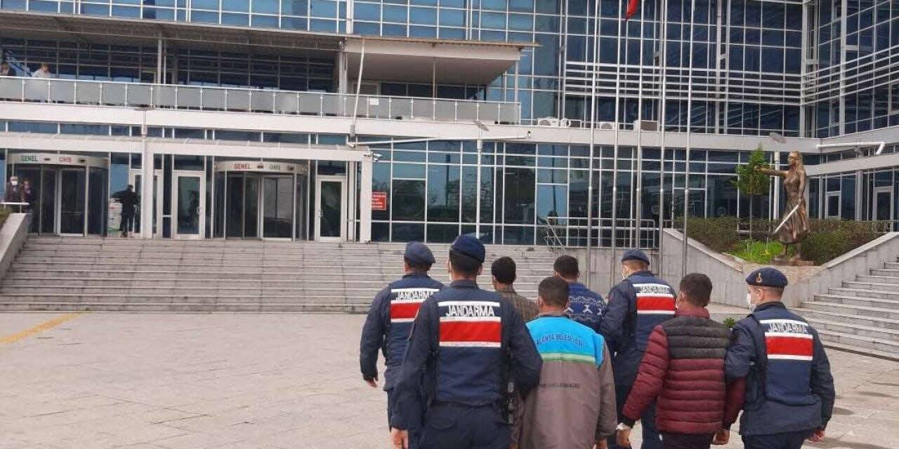 Meyve bahçelerinden hırsızlık yapan 4 kişi tutuklandı