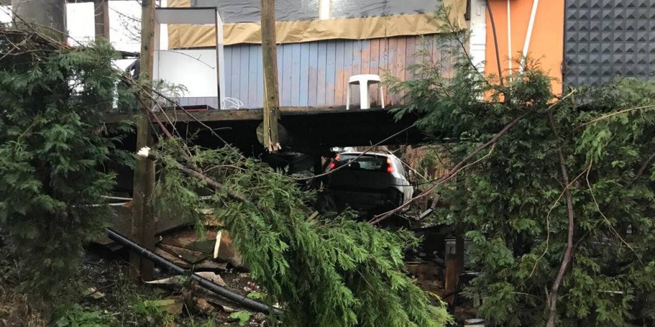 Kontrolden çıkan otomobil, barakanın altından geçerek ağaca çarptı