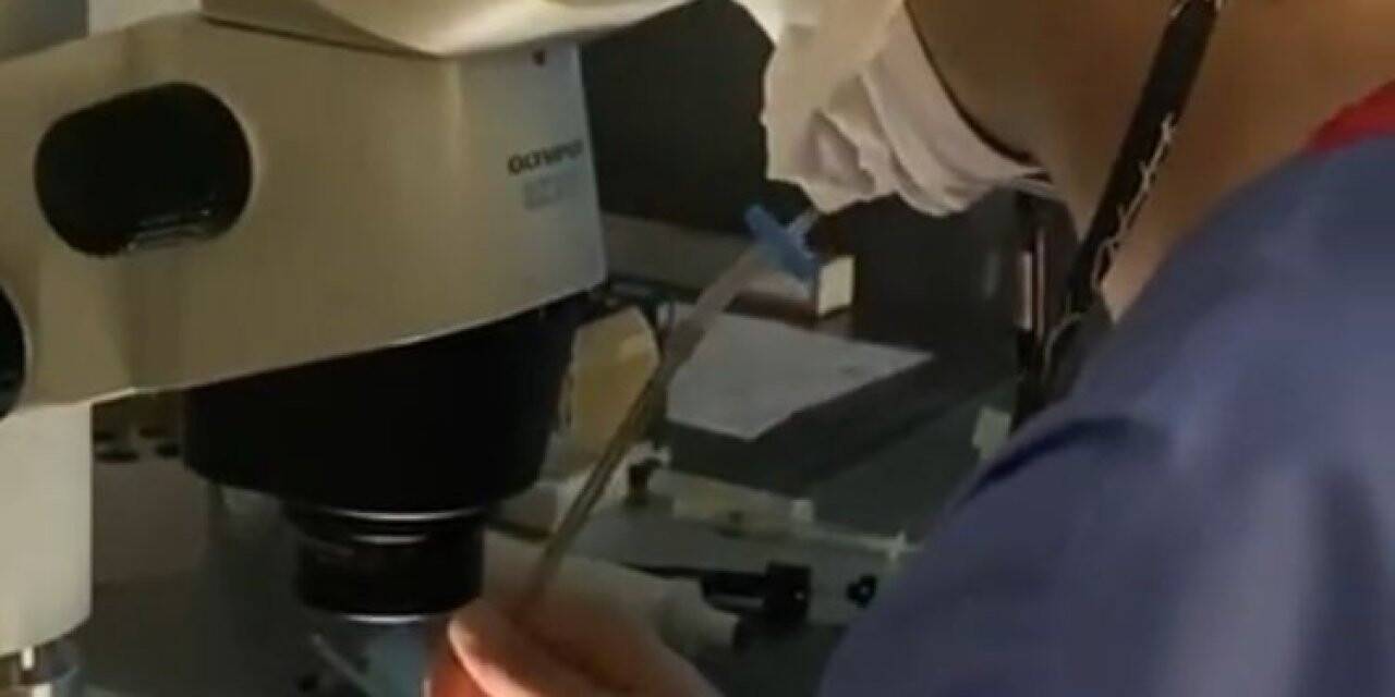 Uzmanlar bu defa sigaranın anne karnındaki çocuğa etkisini araştırdı