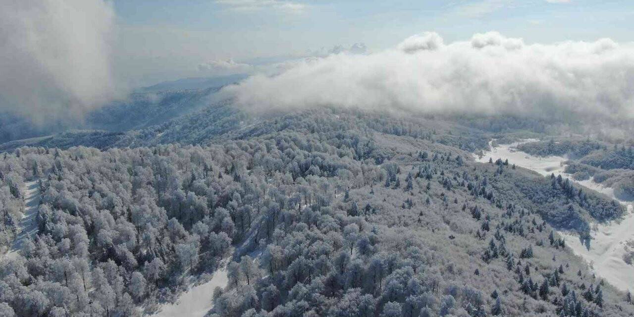 Kartepe’de mart ayında beyaz güzellik