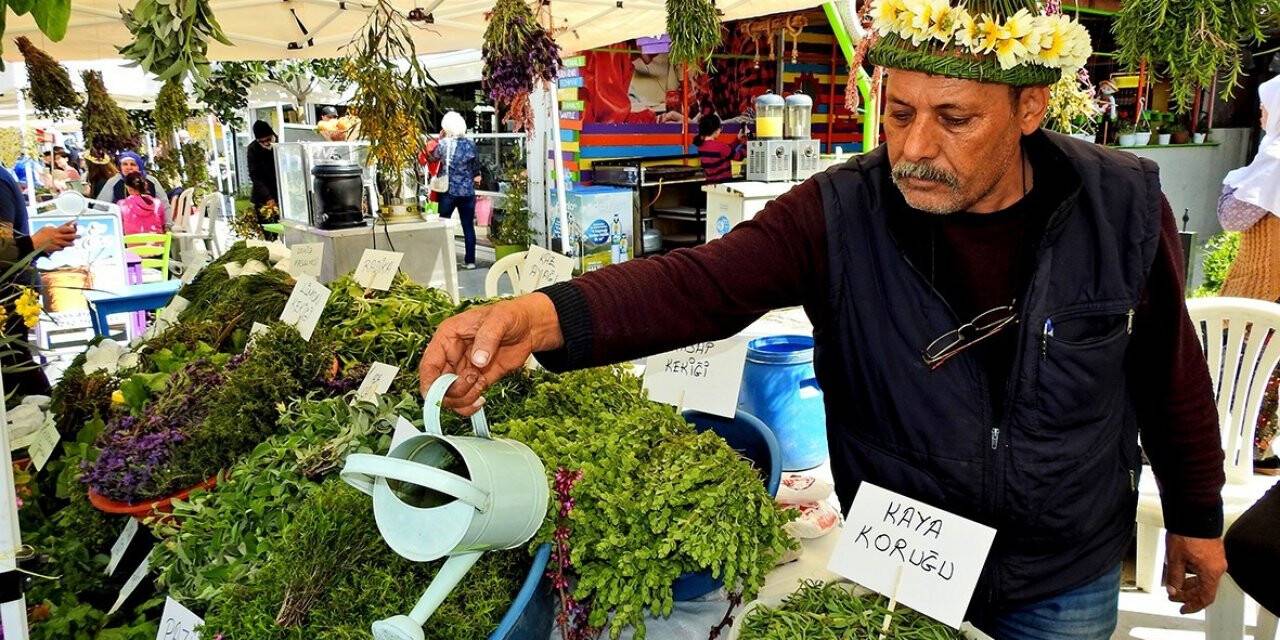 ÇEŞTOB Başkanı Demir: "Alaçatı Ot Festivali Ege festivali gibi olmaya başladı"