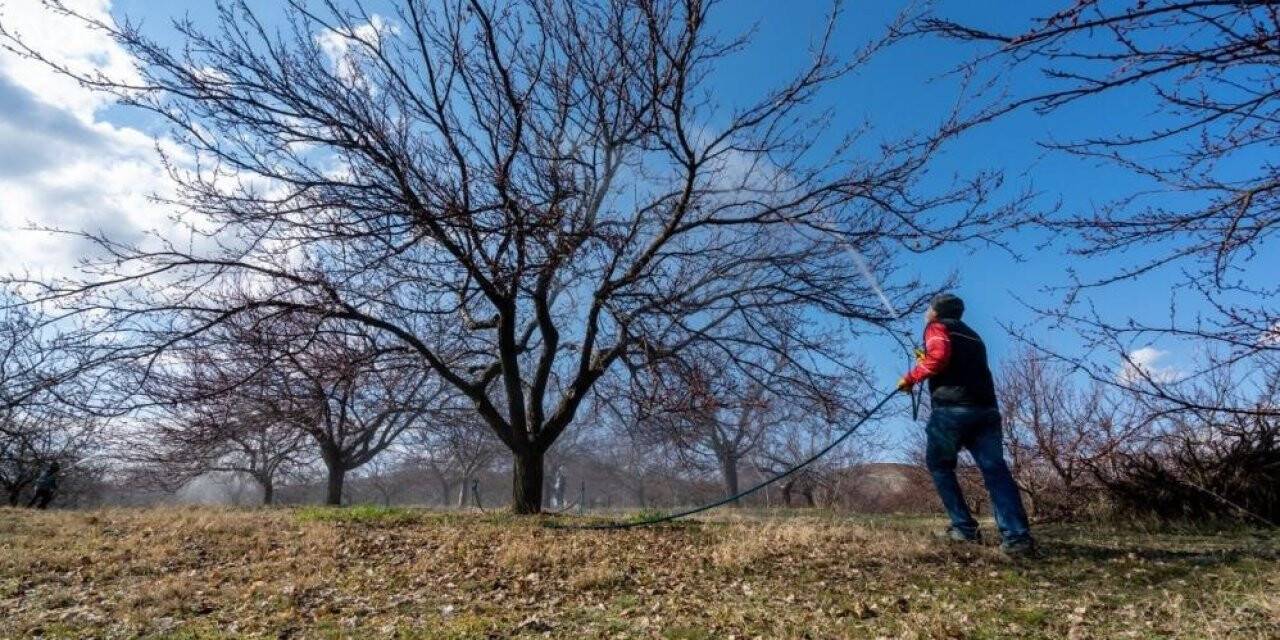 Kayısı üreticilerine zirai don uyarısı