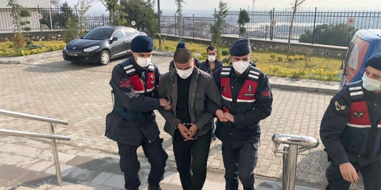 Bursa’da 4 kamyonet zeytin fidanını çaldılar, jandarmadan kaçamadılar