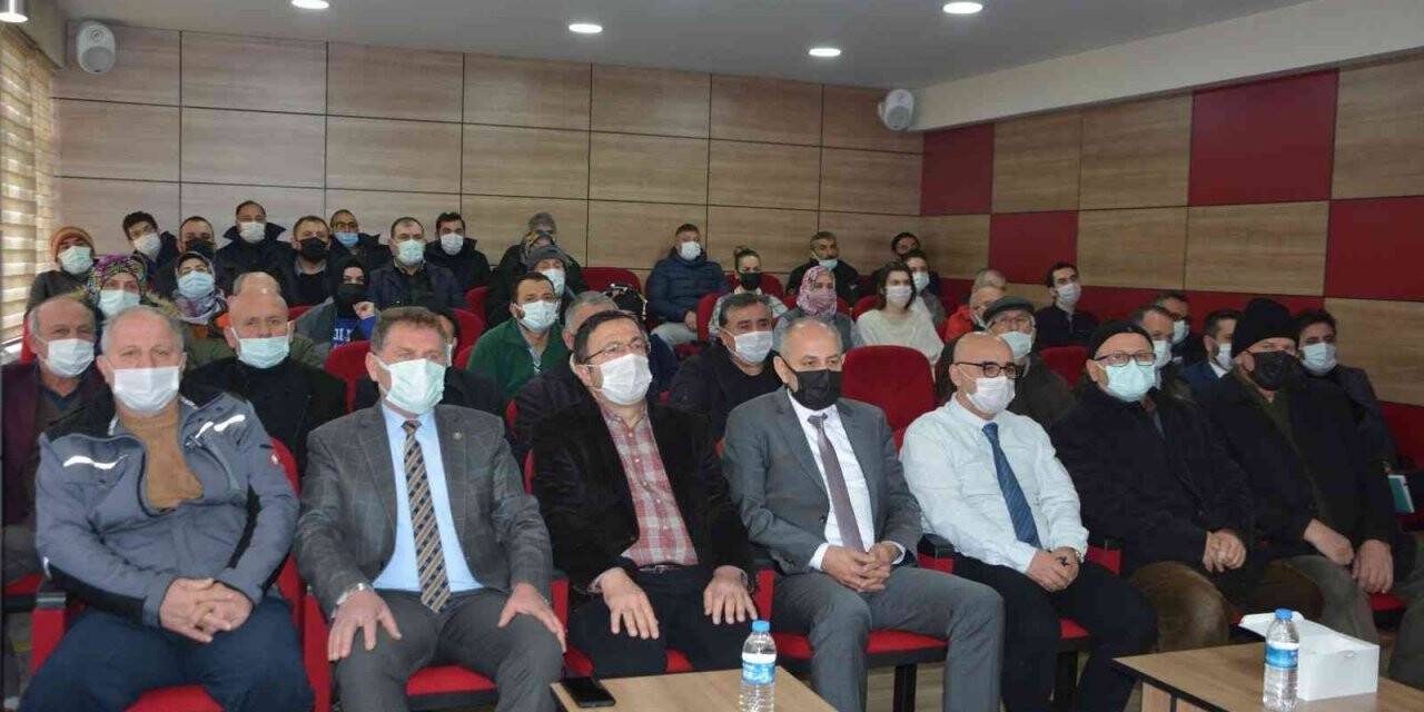 19 Mayıs’ta ceviz üretimi yaygınlaşıyor