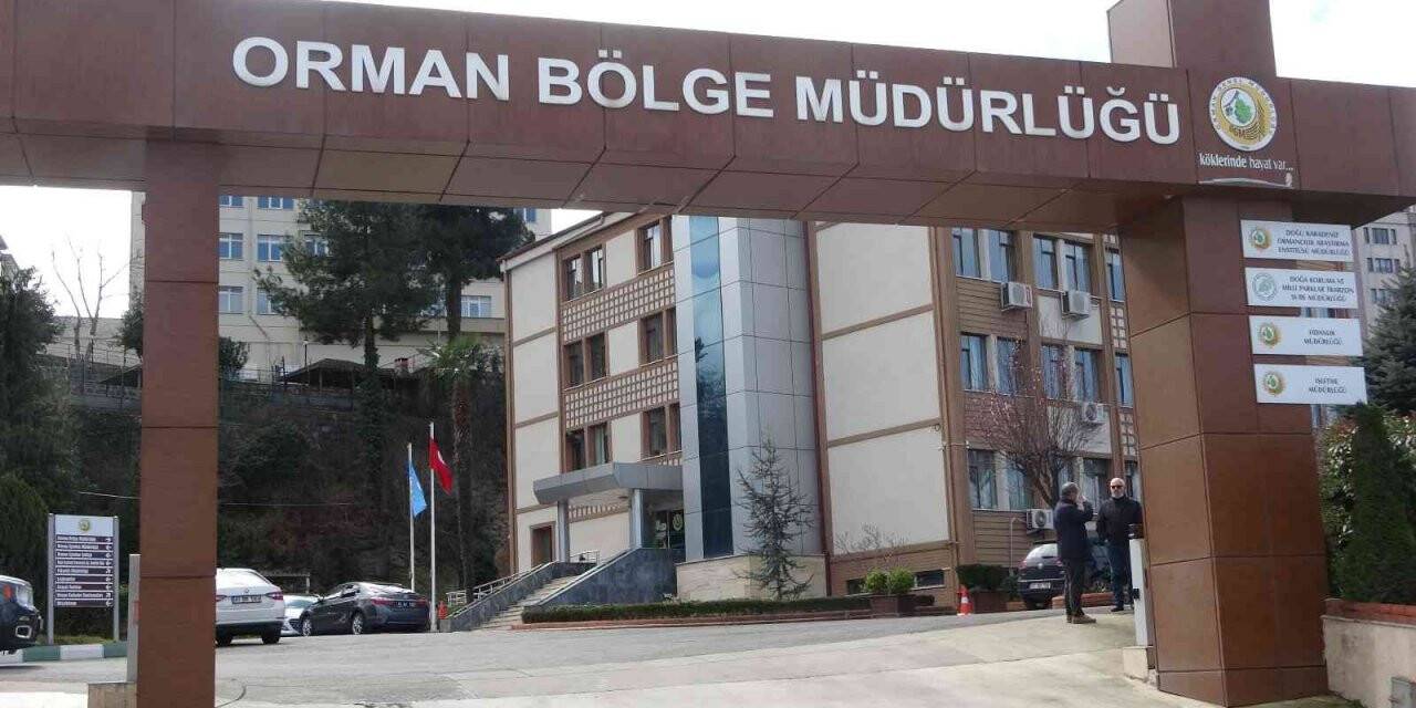 Arkadaşlarına ‘beni yalnız bırakın’ dedi, odasında intihar etti