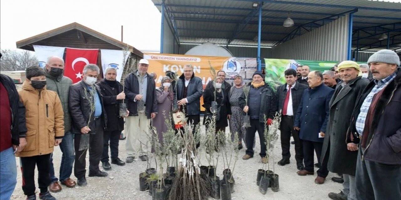 Yunusemre Belediyesinden üreticilere fidan ve kovan desteği