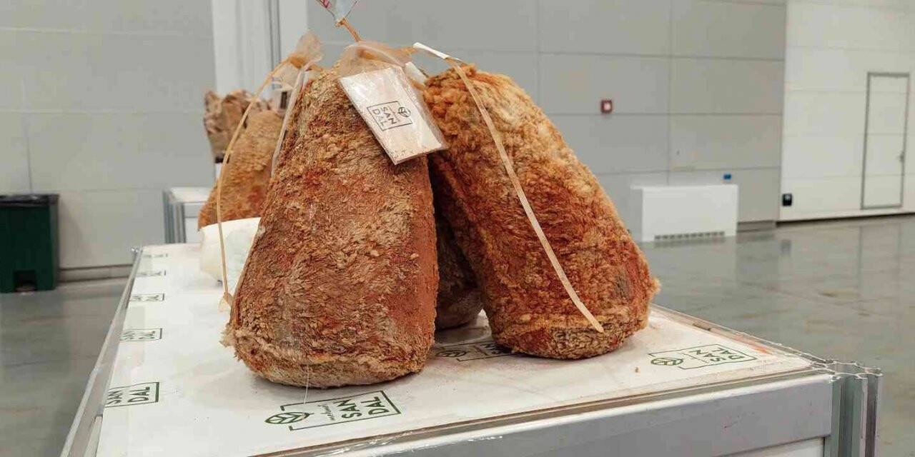 Peynir ve zeytin festivalinde uygun fiyatlar cezbediyor