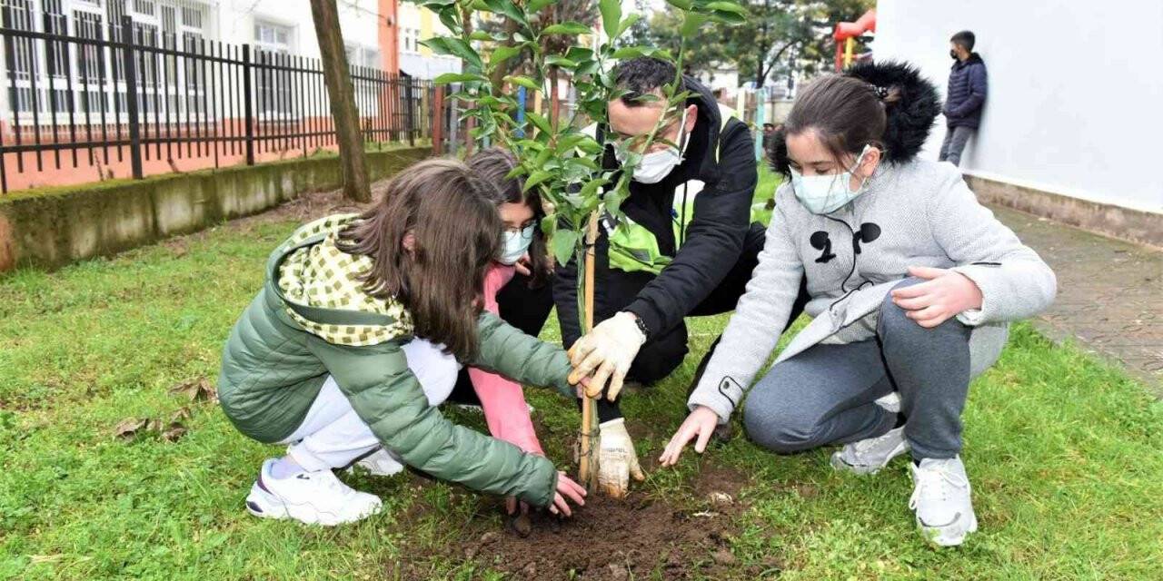 Altınordu’da fidanlar toprakla buluşturuluyor