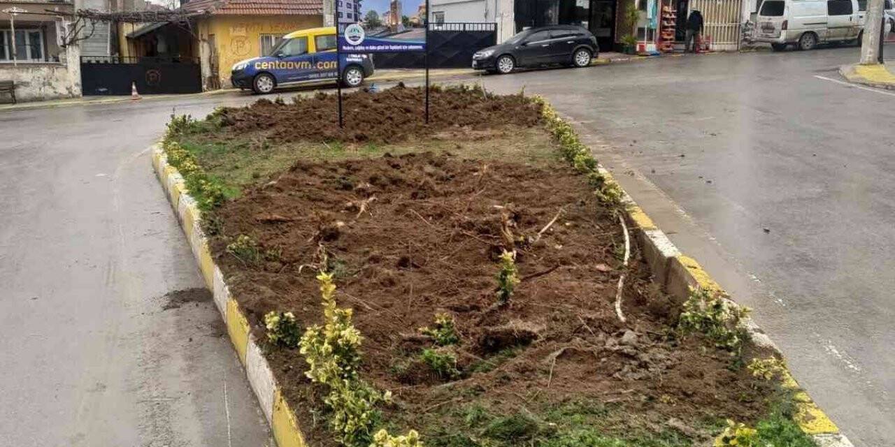 Yalova Taşköprü’de saat kulesi için ağaç kesilmesine tepki