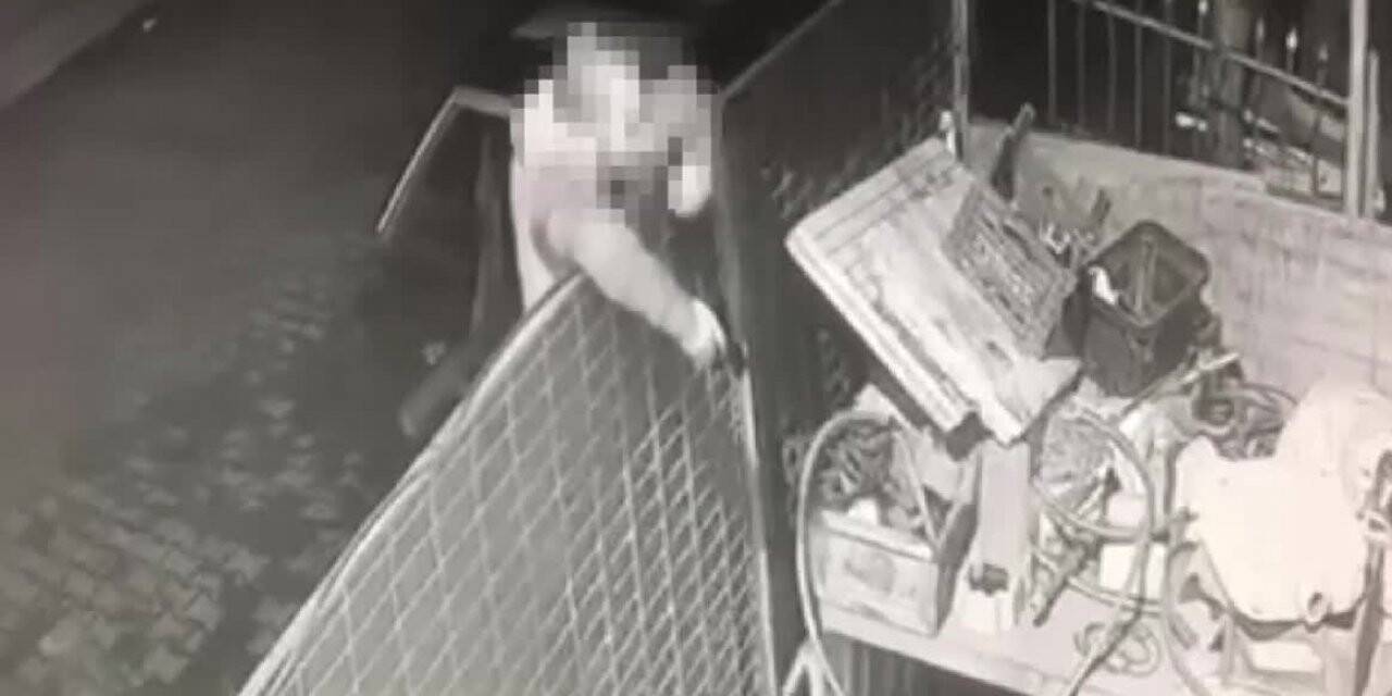 Köpeğe önce ateş etti, sonra değnek fırlatarak eziyet etti