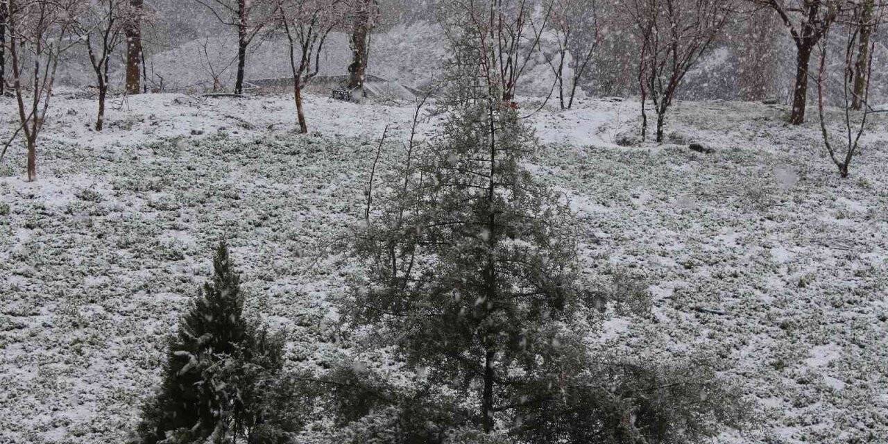 Mart kapıdan baktırdı