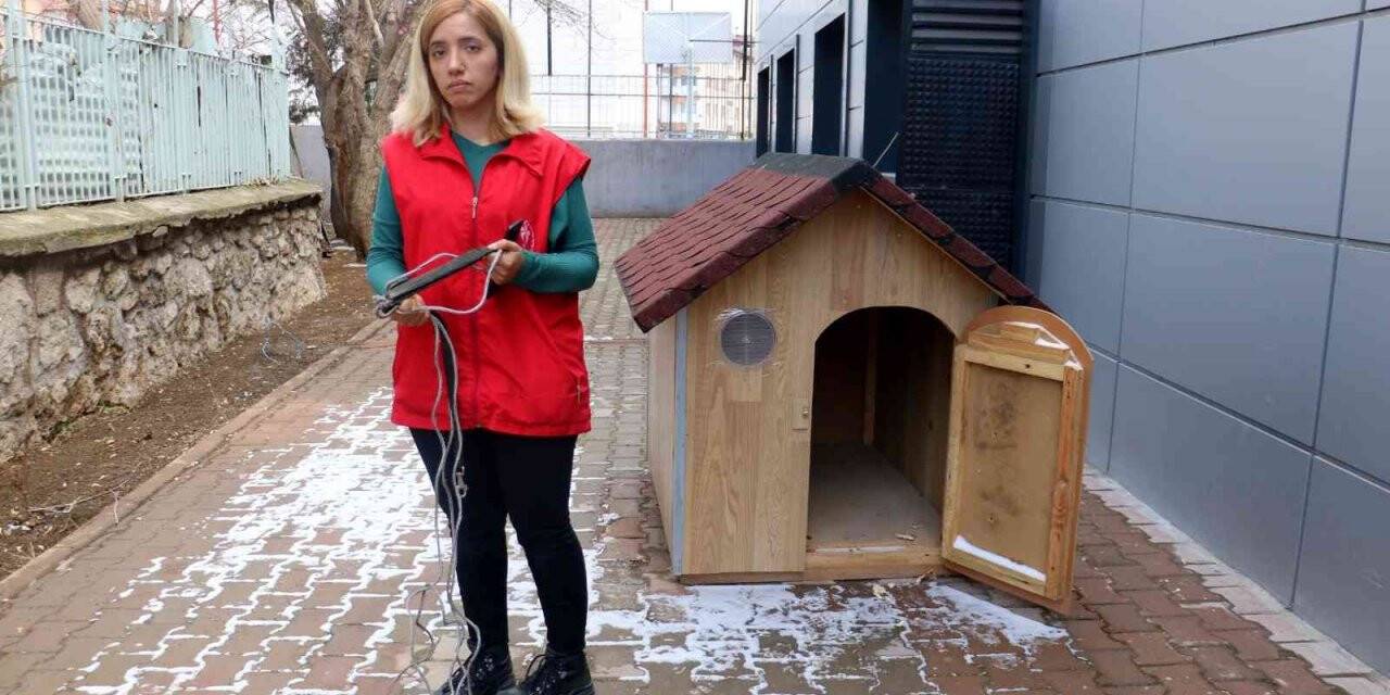 Hava almaya çıkardılar döndüklerinde bulamadılar, bulana ne isterse verilecek