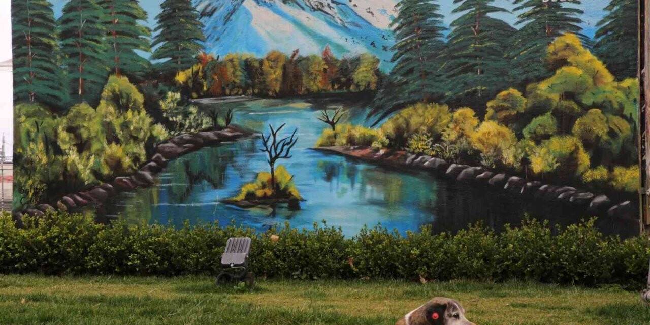 “Güzel Şehrim Kocaeli” ile şehir rengarenk