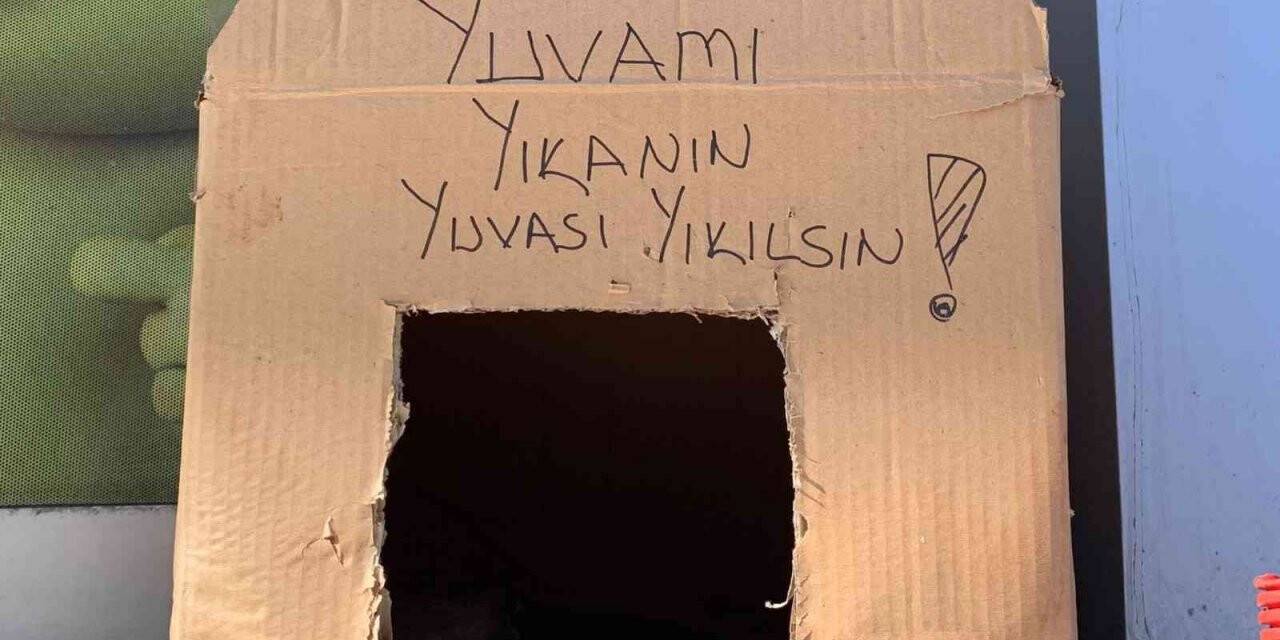 Kedi yuvasını tekrar yıkmasınlar diye bu çözümü buldular