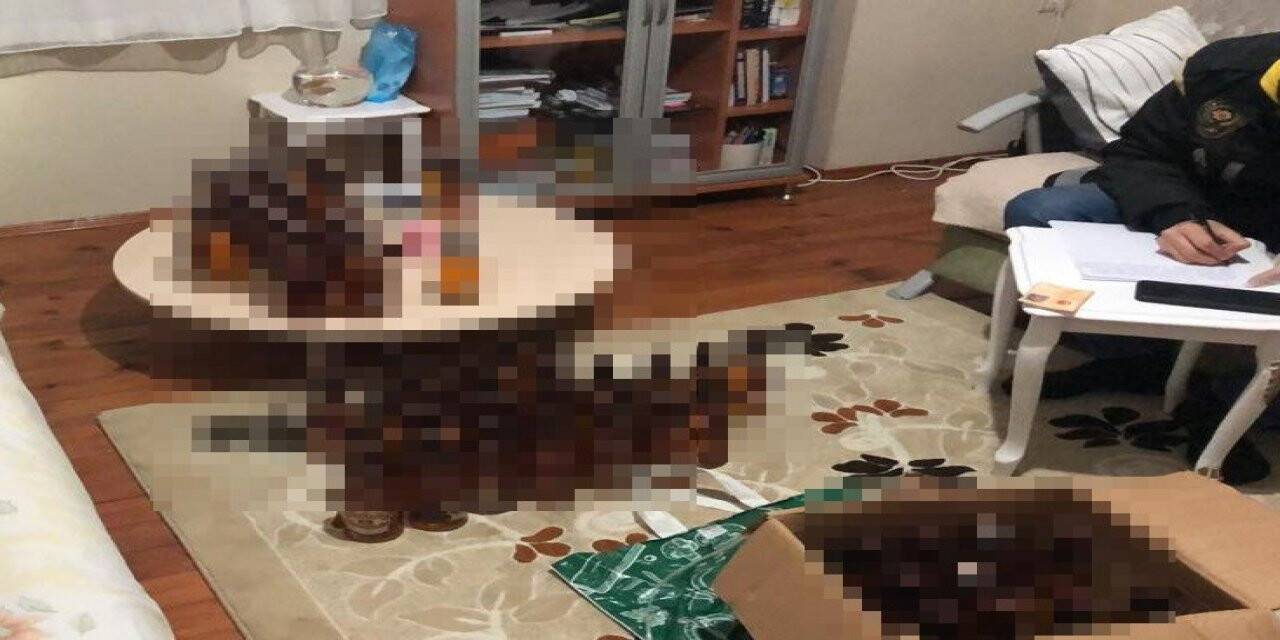 İstanbul merkezli 3 ilde tefeci operasyonu: 8 şüpheli yakalandı